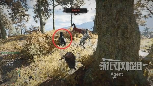 《红色沙漠》传说马匹全收集攻略：赤兔马、白马、黑马位置与驯服技巧详解 第12张