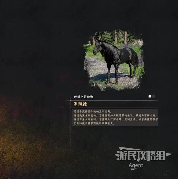 《红色沙漠》传说马匹全收集攻略：赤兔马、白马、黑马位置与驯服技巧详解 第13张